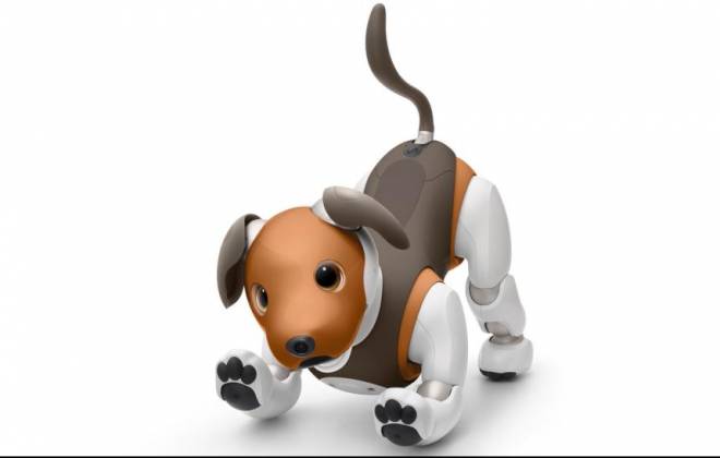 Cachorro Robô